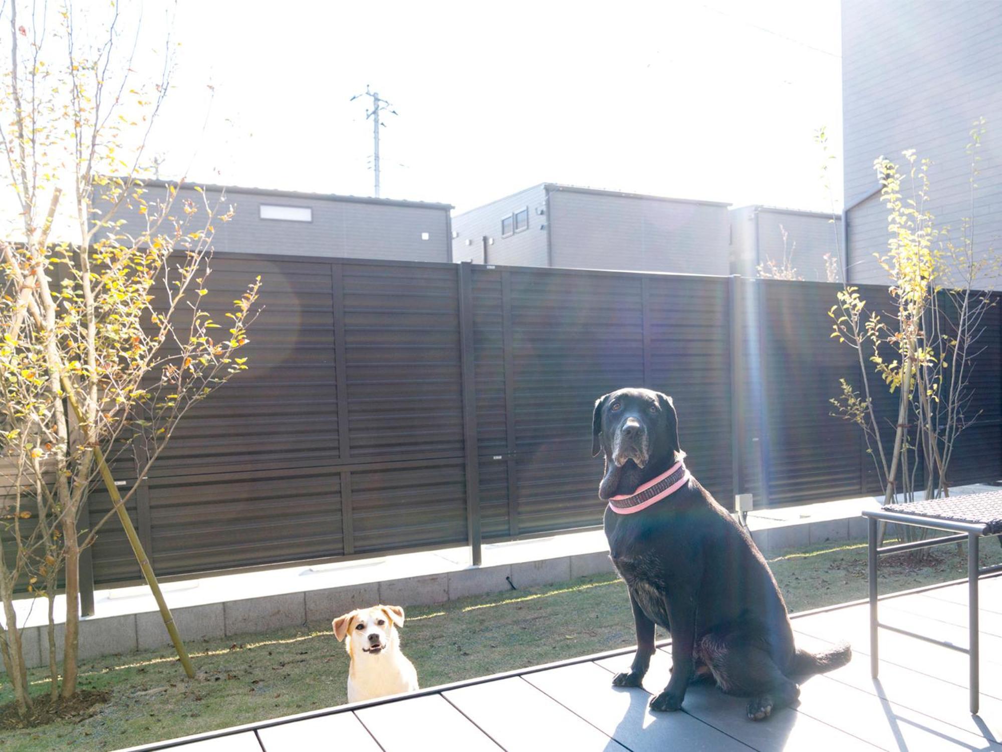 Rakuten Stay Fuji Kawaguchiko Station Fujikawaguchiko Dış mekan fotoğraf
